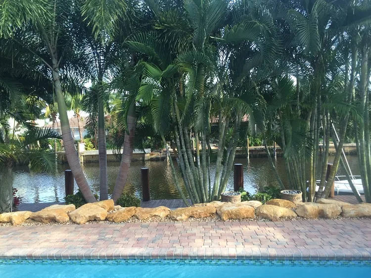 Waterfront yard